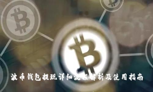 波币钱包提现详细流程解析及使用指南